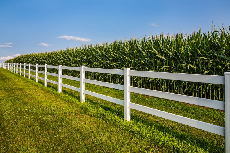 Split Rail Fence Service